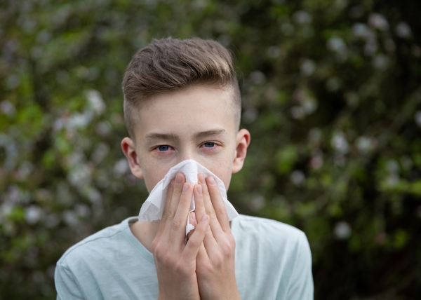 Huonosti hoidettu siitepölyallergia lisää lapsen astmariskiä